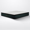 Spinemaster Mattress 14”