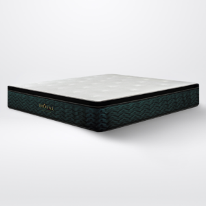 Spinemaster Mattress 14”