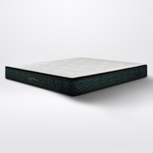 Spinemaster Mattress 10"