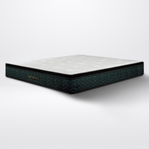 Spinemaster Mattress 12"